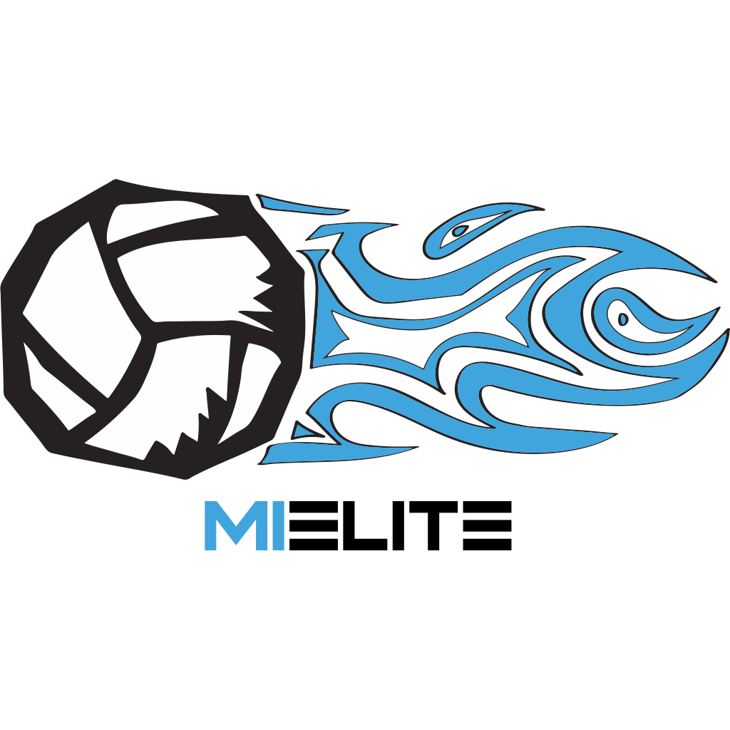 Michigan Elite Volleyball Academy